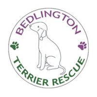 Bedlington Terrier Rescue Foundation