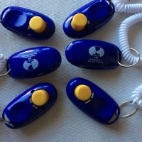 Clicker Training